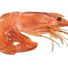 langostino