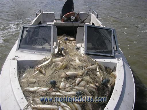100 kilos de pejerrey se encontraron en la embarcación