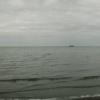 foto09441