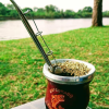 Pesca 24