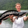 17.giant_snakehead_5