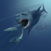 VMNH_megalodon