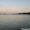 foto3829