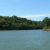parana4