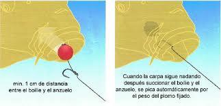 734666_294798153956304_408887456_n