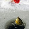 fishing2