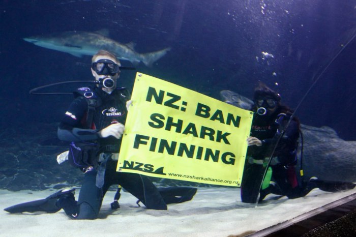 190375_506825925997352_1570730373_n