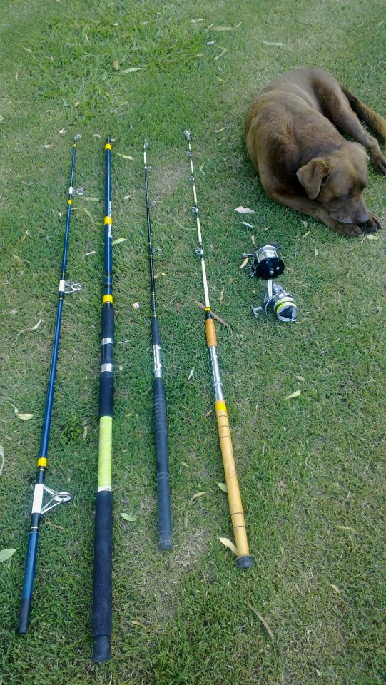 230394_288248107944642_1615255567_n