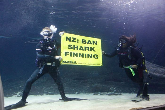 250557_506825769330701_332292489_n