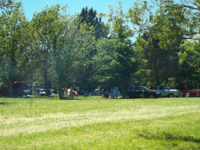 28051_528412307170999_1887592381_n