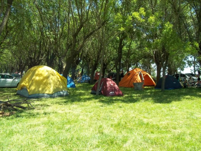 299939_528412653837631_813044338_n