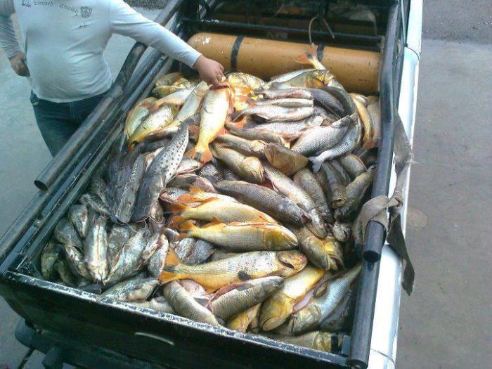 303971_161384660616110_969735592_n