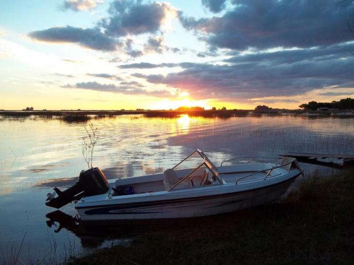 486348_528411100504453_259031587_n