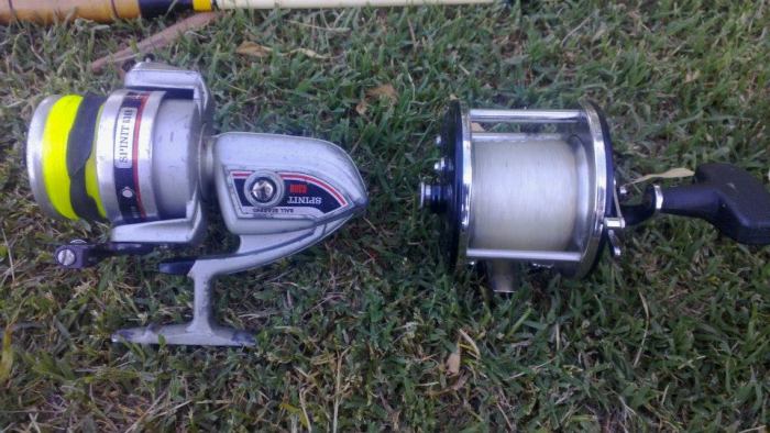 486940_288248247944628_862083884_n