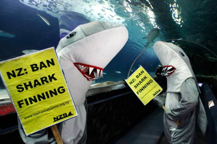 525997_506825789330699_209750705_n