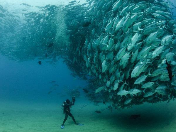 59354_420872171312793_885672311_n