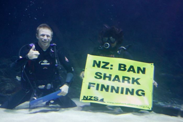 66226_506825835997361_132447271_n