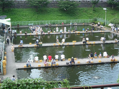 424567_111263075719042_2081856605_n