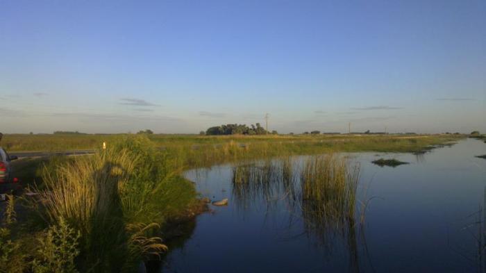 545200_297784260324360_1164147274_n