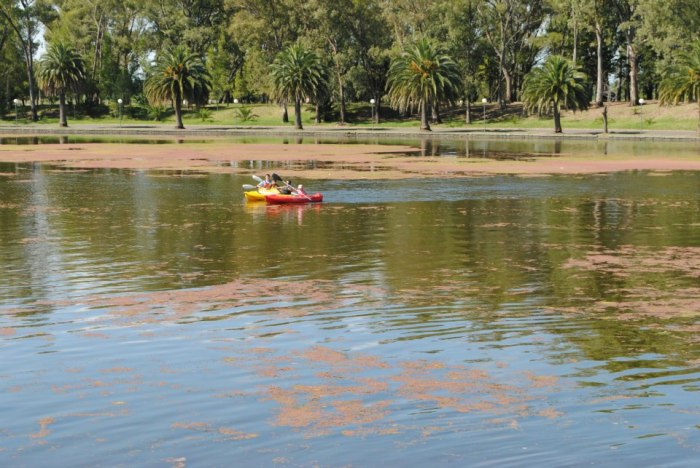 601182_462581313803248_797136378_n