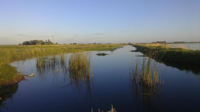 64930_297784206991032_1996544127_n