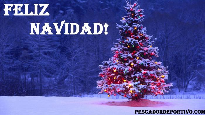Navidad