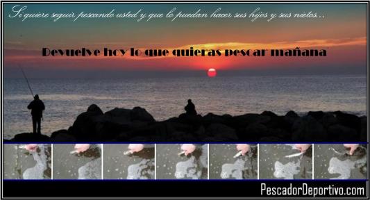 Pesca Devolucion