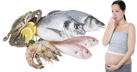 Pescado Embarazadas