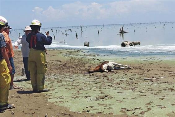 17512_481791181856170_1447624148_n