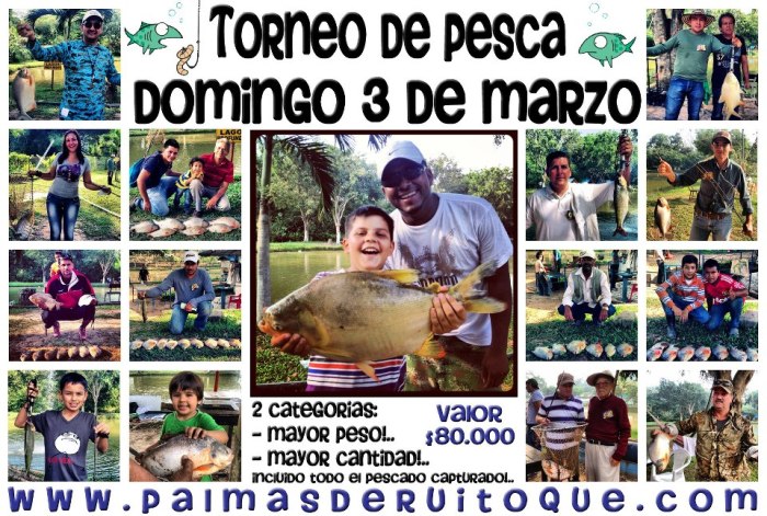 487928_4748357740838_1116520059_n