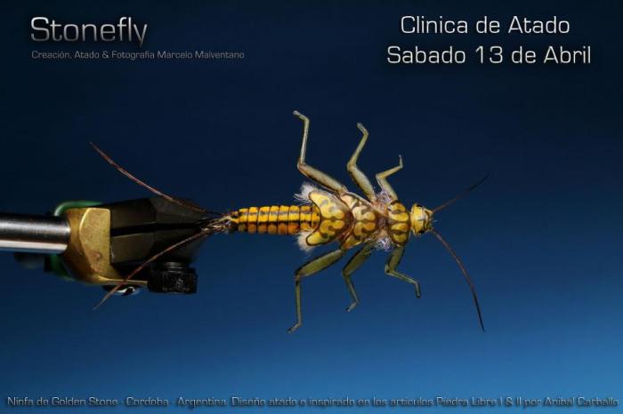 166739_10200801890478434_723954123_n