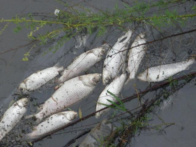 295594_4444907372149_736564991_n