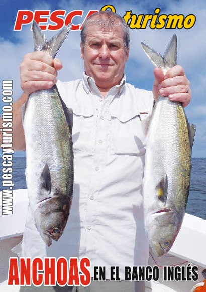 540788_432067976873721_1031924955_n