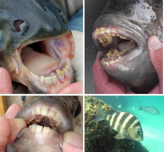 544634_191813457609150_1989240353_n