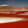 La Laguna Colorada&nbsp;Bolivia