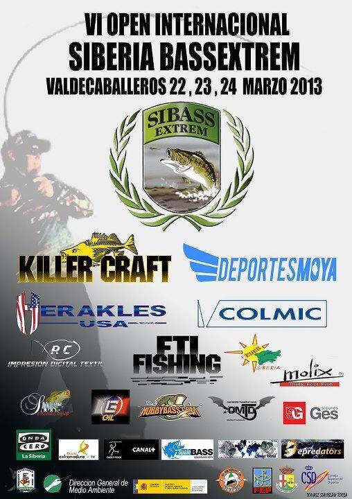 vi-open-internacional