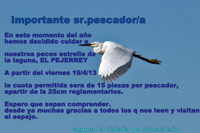 525351_520556104670959_988888709_n