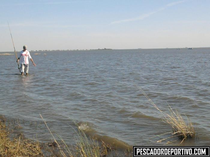 Ezequiel buscando una de las tantas lineas perdidas