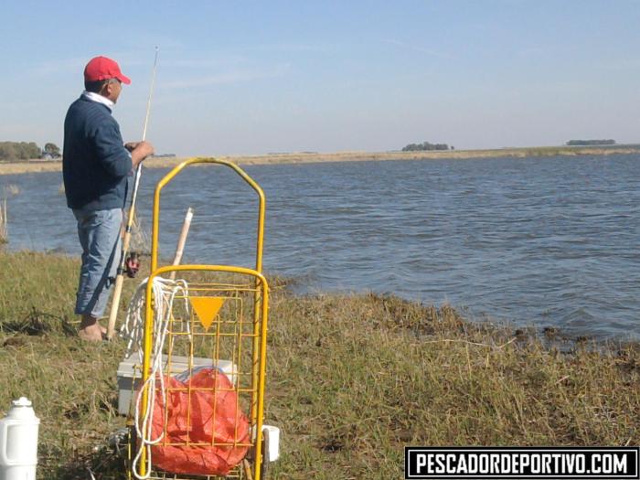 El carrito que tanto ayudo en el traslado