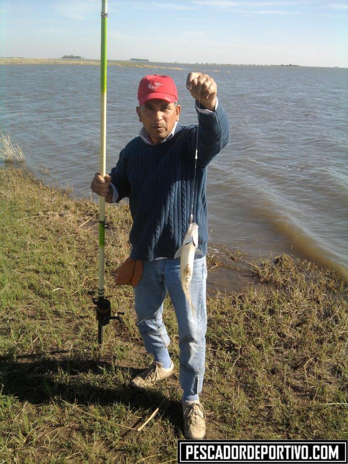 El chueco y el pejerrey mas grande de la jornada, de 38 cm y 500 gramos