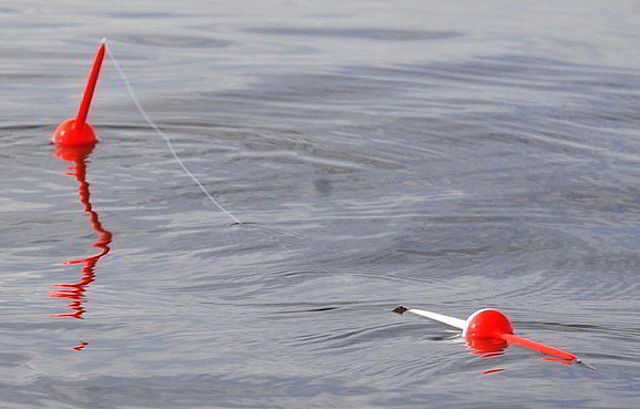 1c4dfe4b2a2c4dbae8ef2a4dbae7d6