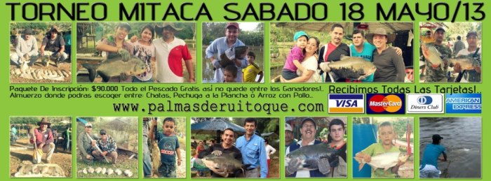 376830_10200262749625366_27237810_n (1)