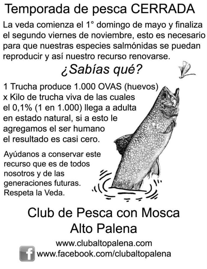 532890_385050901538854_53953345_n