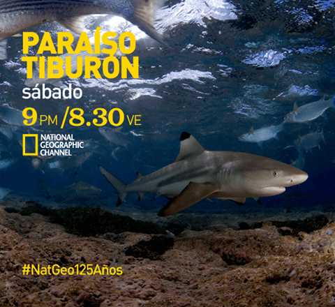 942483_10151512502593451_391468870_n