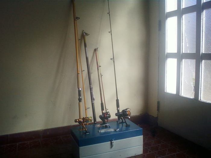 945567_532241106834190_2021162527_n