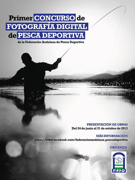 1017600_618273578197396_654367991_n