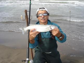 299251_10151535707564508_211113708_n