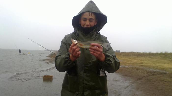 1011434_361403500629102_1579830342_n