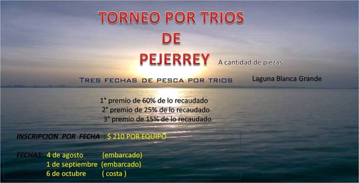 1069349_483054321775635_2018500026_n