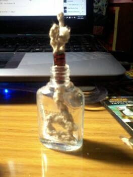 264484_317914831671980_796261571_n